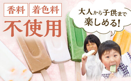 【手作りアイス】 全9種類 アイスまんじゅう アイスキャンディー 詰め合わせ 食べ比べ 9本入り 無香料 無着色 多治見市 / エイシン あずき 餡 ミルク いちご 抹茶 フルーツ オレンジ コーヒー