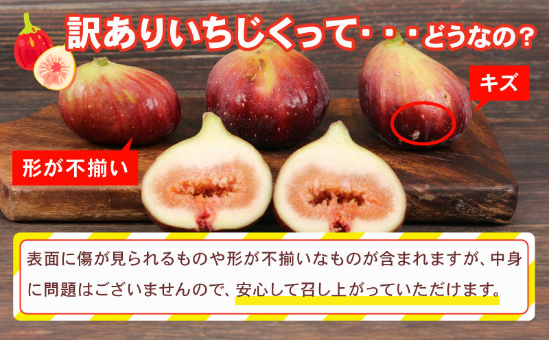 訳あり いちじく 1 ～ 1.2kg 南予ファーム 先行予約 訳有り イチジク わけあり 無花果 果物 くだもの フルーツ 果実 プチプチ 食感 甘い お菓子 スイーツ 作り ジャム スムージー デザ