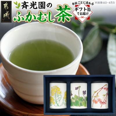 ふるさと納税 都城市 斉光園のふかむし茶 常盤[ときわ] 3缶ギフト