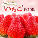 【ふるさと納税】 先行予約 いちご 350g×2パック 果物 フルーツ 苺 厳選 プレミアム 甘い やみつき 期間限定 季節限定 早期予約 2025年1月〜2月末発送 冷蔵 特産品 お取り寄せ グルメ