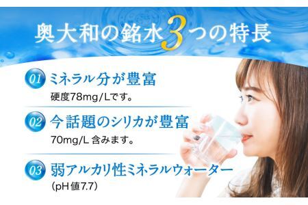 【定期便6ヶ月】奥大和の銘水　500ml×48本（1箱24本入り×2箱）×6ヶ月  定期便 水 軟水 奈良県 奈良市 Q-13 水 定期便 軟水 水 