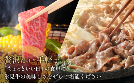 氷見牛切り落とし 300g × 2パック 合計600g 小分け 黒毛和牛 牛肉 富山県 氷見市