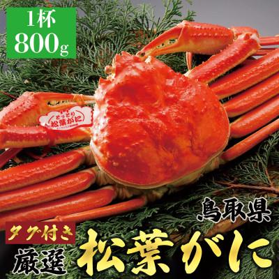 ふるさと納税 北栄町 【2026年11月発送】特撰 松葉がに(茹)【タグ付き】800g1杯 N7_Y