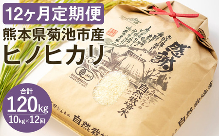 【真空パック】【定期便12ヶ月】令和7年産 七城物語 高野さんちの 自然栽培米 （精米） 10kg （2.5kg×4パック） 合計120kg お米 米 精米 白米 ヒノヒカリ