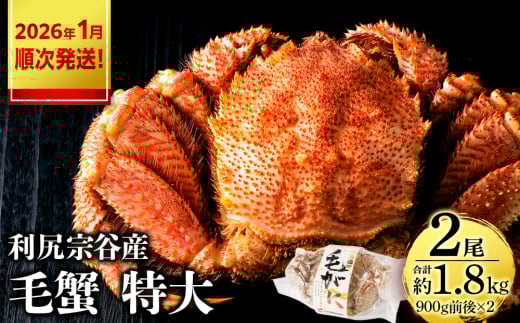 【2026年1月発送】 毛ガニ 特大（900g前後） 2尾＜利尻漁業協同組合＞
