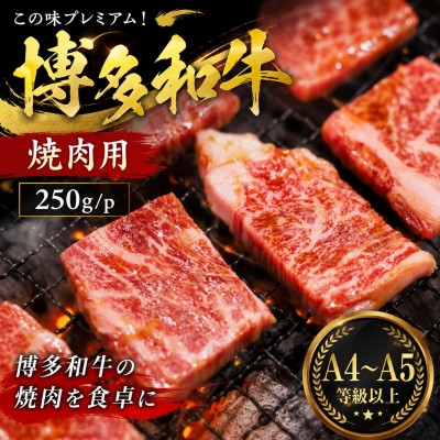 
                  この味プレミアム!＜A4～A5＞博多和牛焼肉用　250g/p(大牟田市)【1758355】
                