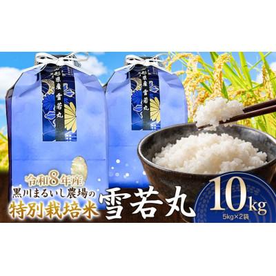ふるさと納税 鶴岡市 【令和8年産】特別栽培米雪若丸精米10kg(5kg×2)[K-875]