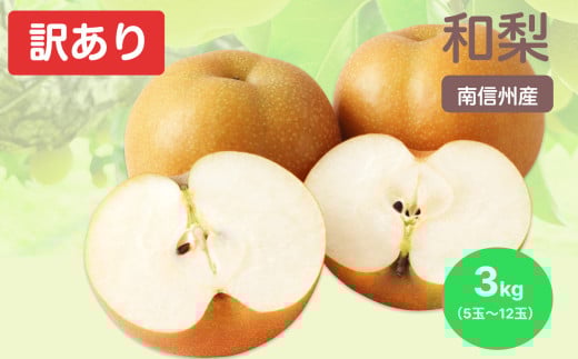 南信州産 訳あり 和梨 約3kg | 果物 フルーツ 果実 和梨 梨 幸水 豊水 南水 あきづき 訳あり わけあり 長野県 飯田市 信州