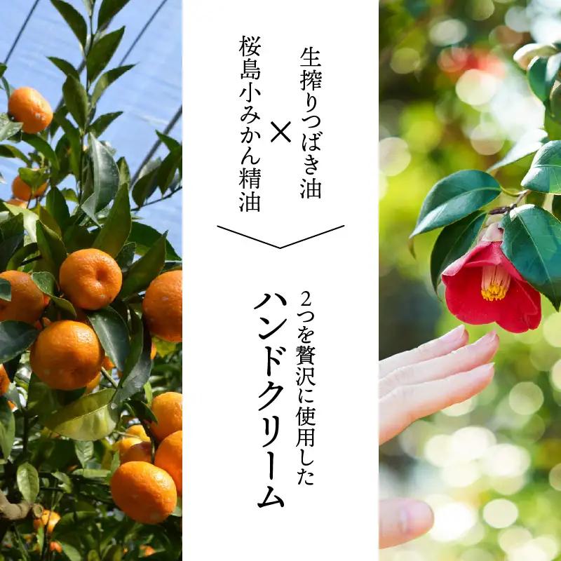 桜島つばきハンドクリーム 5本セット K062-016