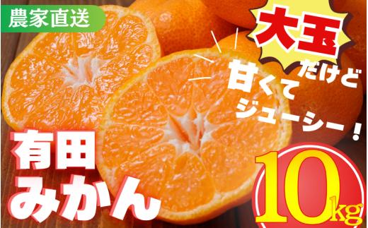 【農家直送】有田みかん　約10kg  大玉3L以上 有機質肥料100%　※2026年11月～12月に順次発送予定(お届け日指定不可)※北海道・沖縄・離島への配送不可 / ミカン 蜜柑 柑橘 フルーツ くだもの 果物 早生 温州 有田 【nuk139F】