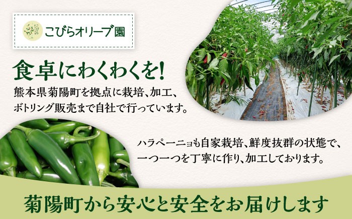 ハラペーニョ ピクルス3種セット 合計420g はらぺーにょ 醤油漬け ピクルス クラッシュ ハラペーニョ 調味料 熊本 菊陽町