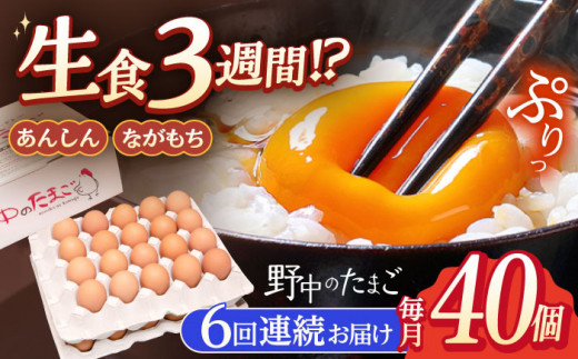 【6回定期便】産みたて新鮮卵 野中のたまご  40個×6回 計240個【野中鶏卵】[OAC005] / 卵 たまご 長持ち 濃厚 玉子 卵 濃厚 タマゴ 鶏卵 オムレツ 卵かけご飯 卵焼き 卵 おいしい 美味しい たまご 料理 新鮮 卵 自宅 贈答