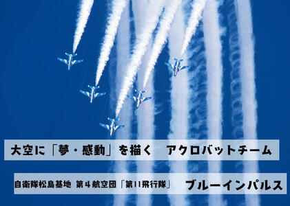 自衛隊 ブルーインパルス ベア（大）ぬいぐるみ くま ベア 航空自衛隊 松島基地 宮城県 東松島市 オンラインワンストップ 対応 自治体マイページ 東松島観光物産公社
