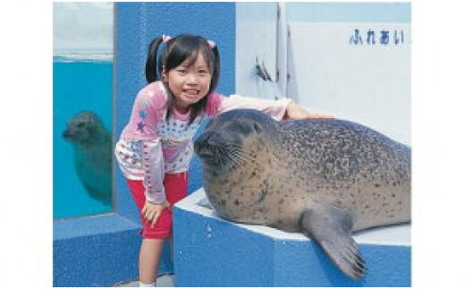 
No.107 南知多ビーチランド飼育係一日体験 ／ チケット 水族館 動物 愛知県 特産品
