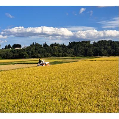 ふるさと納税 五戸町 【令和7年産】まっしぐら　玄米30kg |  | 03