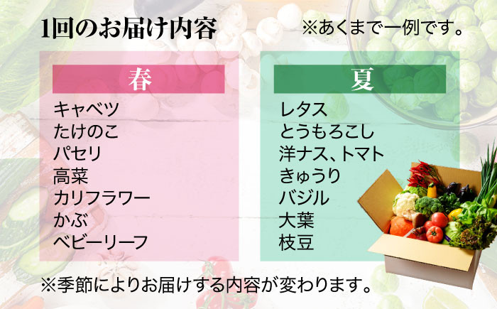 【全6回定期便】旬のお野菜セット
