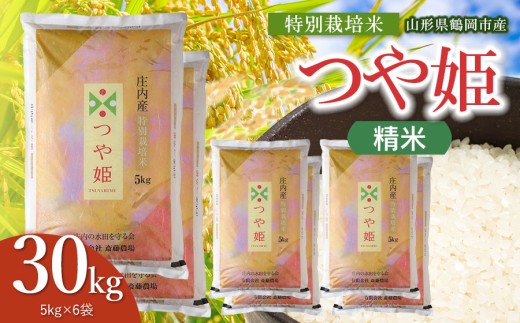 【令和8年産 新米】 斎藤農場の特別栽培米 つや姫 精米 30kg（5kg×6袋） 山形県鶴岡市 [K-8240] | つやひめ 30キロ 米どころ 庄内米 ブランド米 米 コメ こめ 精米 ご飯 ごはん 美味しい お取り寄せ 農家直送 東北 山形 鶴岡市 国産 おすすめ 人気 返礼品
