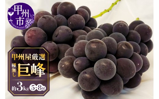 甲州屋厳選 種無し巨峰 約3kg 5～8房【2026年発送】D-119【巨峰 ぶどう 葡萄 ブドウ 令和8年発送 期間限定 山梨県産 甲州市 フルーツ 果物】