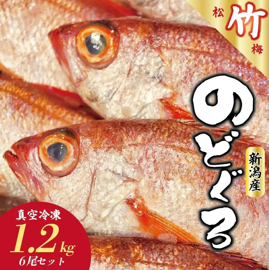 ノドグロ 6尾セット 1尾 約200g のどぐろ のどぐろ のどぐろ のどぐろ uomizushima004