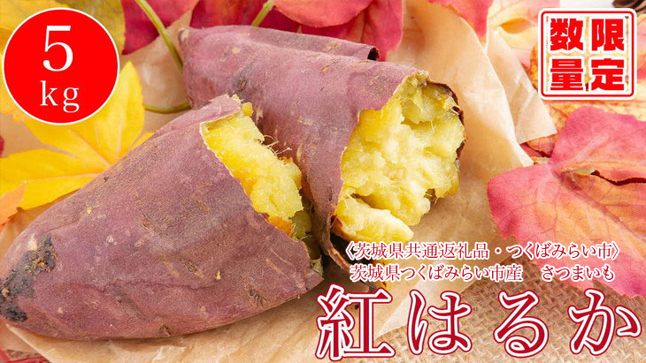 オーガニックさつまいも(紅はるか）5kg【農薬・肥料不使用】土つき〈茨城県共通返礼品・つくばみらい市〉 ※2023年9月上旬～2024年2月下旬頃に順次発送予定 | さつまいも サツマイモ 薩摩芋 茨城県 _DM01