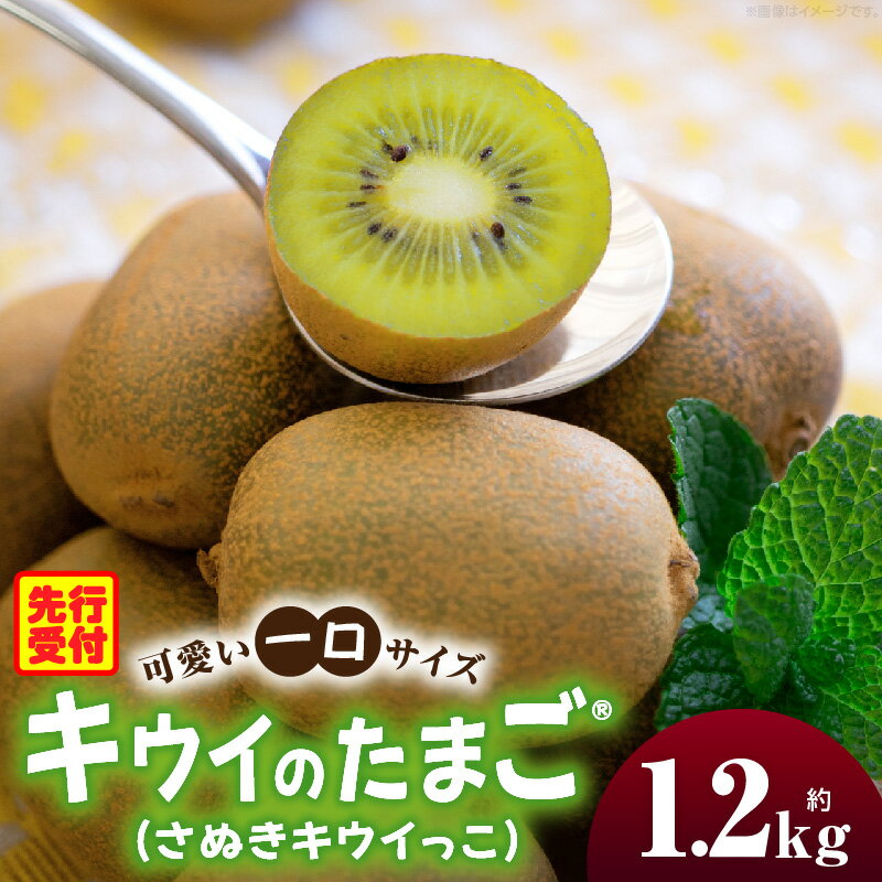 【ふるさと納税】こつぶでちゅるん キウイフルーツ(キウイのたまご®)(キウイっこ) 約1.2kg キウイ フルーツ 果物 旬 旬の果物 キウイフルーツ デザート 生鮮食品 贈り物 贈答 お裾分け おすすめ 人気 ギフト グルメ 特産品 果肉 季節 季節の果物 香川県 三木町 送料無料
