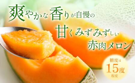 【2025年発送】【先行予約】【数量限定】美唄市産ルピアレッドメロン３玉（赤肉）