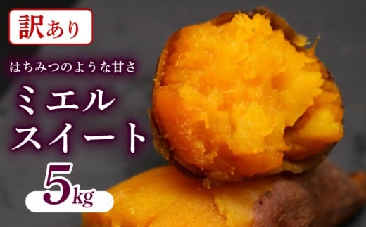 【新芋発送開始】 【訳あり】 ミエルスイート 5キロ サツマイモ 芋 いも ミエルスィート おやつ スイーツ いも天 芋天 焼き芋 焼いも 焼芋 やきいも わけあり 不揃い 傷 高知県 南国市