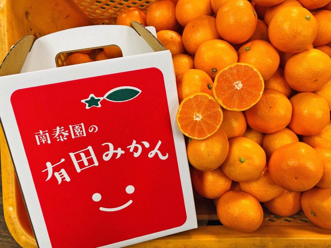 有田みかん 小玉ちゃん 等級混合 2.2kg 小玉2S～4Sサイズ混合 和歌山 南泰園 みかん  BS657