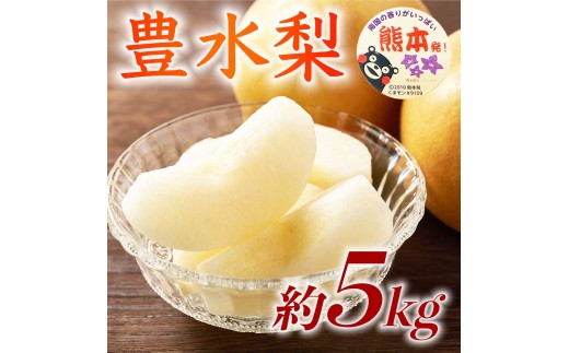 先行予約 豊水梨 約5kg（6～18玉 ） 【2026年8月上旬～2026年8月下旬発送予定】 梨 なし 和梨 豊水 国産 熊本県 熊本 九州 産地直送 果汁 たっぷり フレッシュ 日本フルーツ