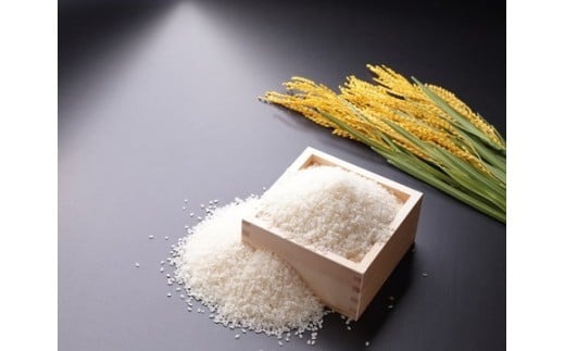 令和8年産米 真庭市産 太安さんちのあきたこまち 白米 10kg（5kg×2袋） / お米 岡山県 米 人気 ブランド 2026年産 【tkns015-02】