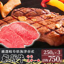 【ふるさと納税】【飛騨牛】海津市産モモステーキ250g×3 【配達不可：離島】　【 お肉 牛肉 ステーキ用 モモ肉 国産 岐阜県産 ブランド牛 夕飯 記念日 ディナー 赤身 サシ 霜降り 旨味 脂身が少ない 】