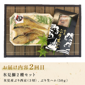 〈隔月3回定期便〉 富山県氷見尽くし！「氷見ぶり」「氷見産干物」「氷見産昆布〆お刺身」など氷見の旨いもんが10種！