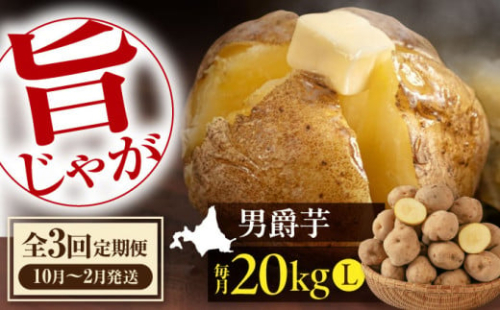 【全3回定期便】【10月〜2月発送】 じゃがいも 男爵芋 20Kg 《喜茂別町》【Aコープようてい】 ジャガイモ じゃがいも 野菜 季節の野菜 詰め合わせ 北海道 産地直送 定期便
