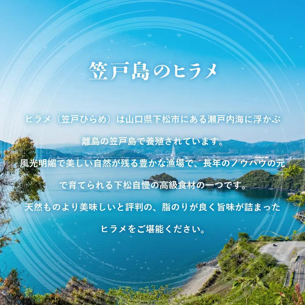 笠戸ひらめお刺身（薄造り、朱皿プラスチック）約4～5人前【引換券】 ／ ヒラメ さしみ 魚 山口県 No.184