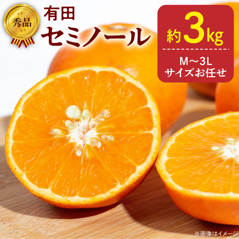 【2027年先行予約】秀品 セミノール 和歌山 有田 M～3Lサイズ 大きさお任せ 約3kg_DZ6037