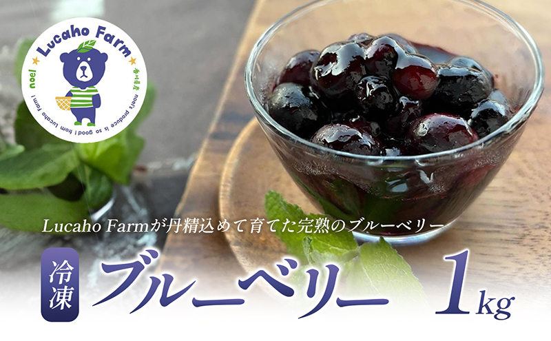 ブルーベリー Lucaho Farm 100g×5p 香川県産 冷凍ブルーベリー1kg 冷凍ブルーベリー フルーツ 果物 くだもの 旬のフルーツ 旬の果物 冷凍 香川 香川県 東かがわ市