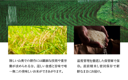 即納【令和7年産米】山仙 (いのちの壱) 2kg×1袋【51-27】
