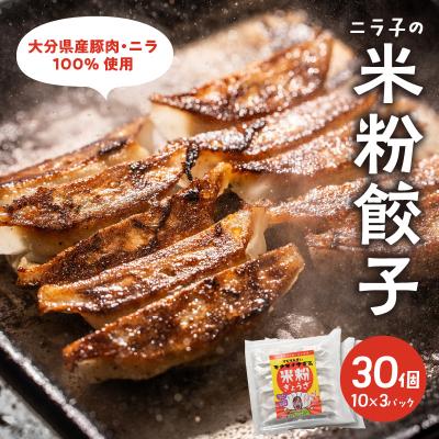 ふるさと納税 大分市 モチモチすぎるニラ子の米粉ぎょうざ 大分県産豚肉・にら100%使用 10個入り3パック_A02037