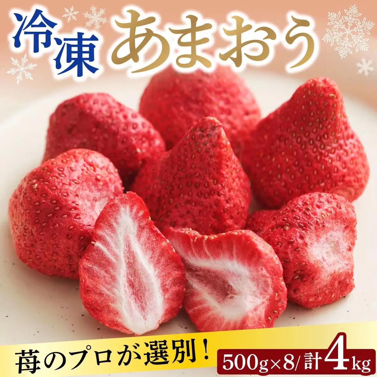 寄附額改定↓ 自然環境農法 福岡県産 冷凍あまおう 4kg|苺 いちご イチゴ 完熟 あかい まるい おおきい うまい フルーツ 果物 デザート 期間限定 産地直送 冷蔵 お取り寄せ グルメ 送料無料 福岡県 那珂川市 