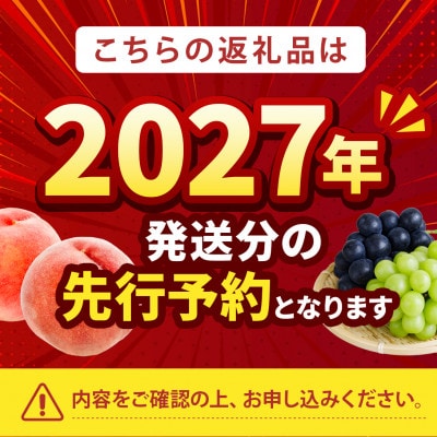 2027年発送先行受付【日本一有名な桃】1日に1個しか実らない『幻のシャトーブリアン桃』7月中旬発送【配送不可地域：離島・北海道・沖縄県・中国・四国・九州】