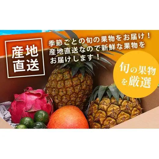 石垣島の夏「果物」詰め合わせ～夏のタカラモノ果物便～SH-5