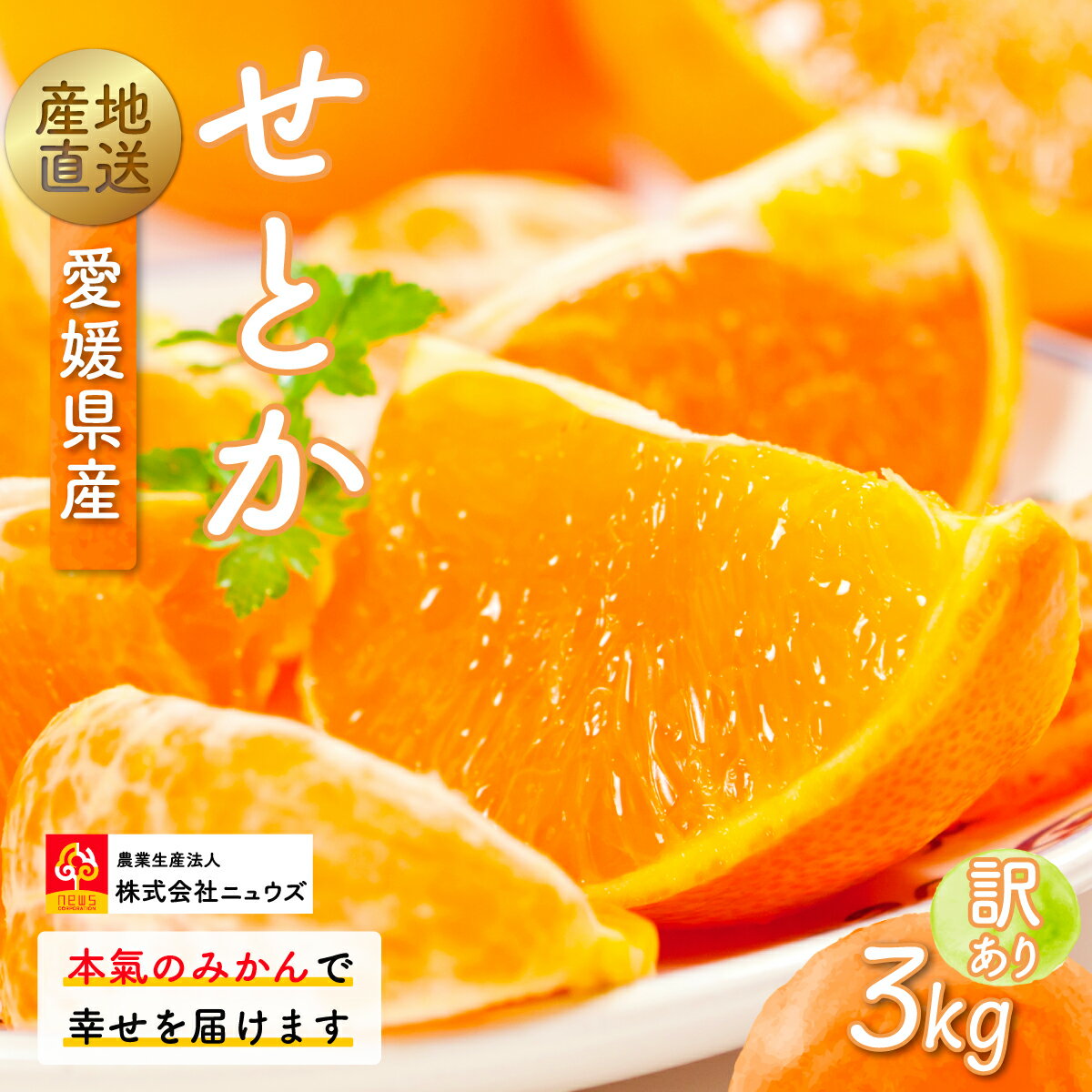 【ふるさと納税】【先行予約】産地直送！愛媛県産せとか（訳あり） 3kg（2026年2月下旬から発送予定） 【ふるさと納税 人気 おすすめ ランキング みかん ミカン 蜜柑 せとか フルーツ 果物 産地直送 ニュウズ 愛媛県産 愛媛県 伊方町 送料無料】 IKTF005