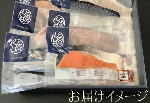 【6枚セット】レンジで楽ちん！本格旨魚！レンちん君！ ふるさと納税 魚 _F4F-4296