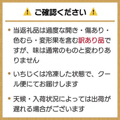 ふるさと納税 宮若市 訳あり冷凍いちじく「とよみつひめ」500g×2袋(1kg)(宮若市) |  | 03