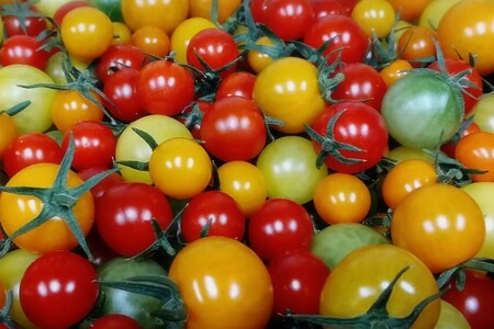 まつみやファーム獲れたて野菜・フルーツ5種定期便