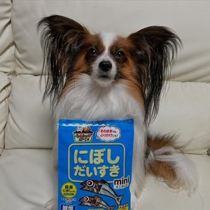 ペットフード マルトモ 減塩にぼしだいすきミニ 40g×30個セット おやつ にぼし 減塩 犬 猫 国産 国内加工 保存料 着色料 不使用 伊予市｜D87