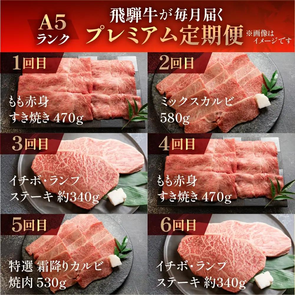 【定期便 12回】飛騨牛  (ステーキ / 焼き肉 / すき焼き /希少部位 赤身 / 霜降り) 【11-O】