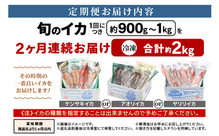 おまかせ定期便 《2ヶ月連続お届け》 計約2kg イカ 三昧！ その時期の一番良いイカをお届けします 急速冷凍 活〆 刺身 ヤリイカ ケンサキイカ アオリイカ 【いか 烏賊 若狭湾 地物 海産物 新鮮