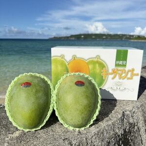 【2026年8月下旬から順次発送・贈答用】みなとばる農園の幻のキーツマンゴー1.2kg(1～3玉)【配送不可地域：離島】【1699963】