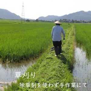 【毎月定期便】[極上]こだわり米 岩船産コシヒカリ精米6kg(3kg×2袋)[奥越後の百姓屋]全3回【4070089】